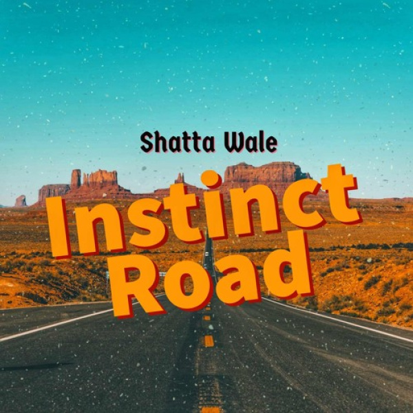 Shatta Wale-Instinct Road cover art