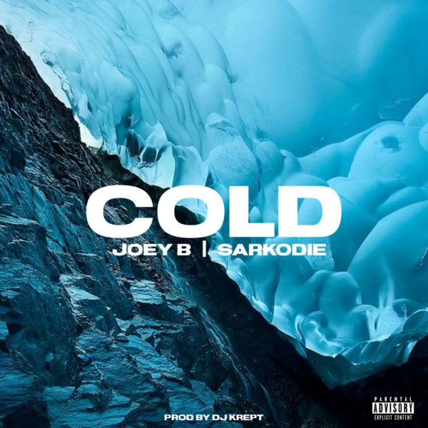 Joey B-Cold cover art