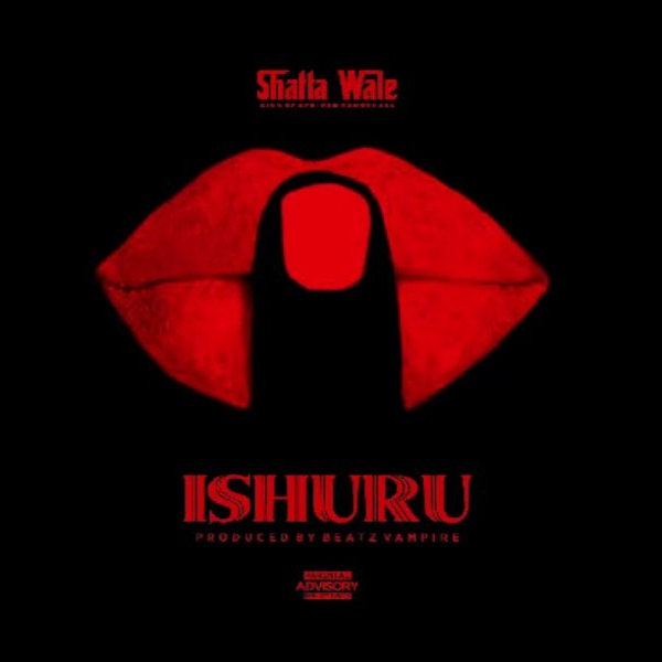 Shatta Wale-IShuru cover art