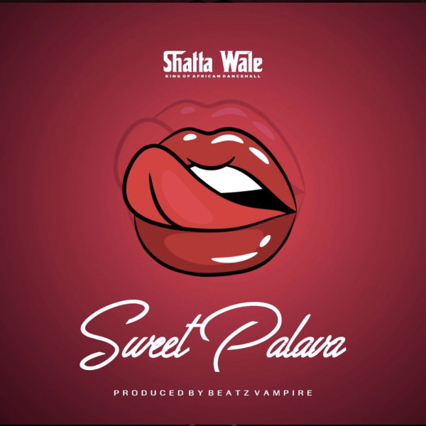 Shatta Wale-Sweet Palava cover art