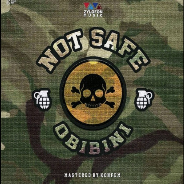 Obibini-Not Safe cover art