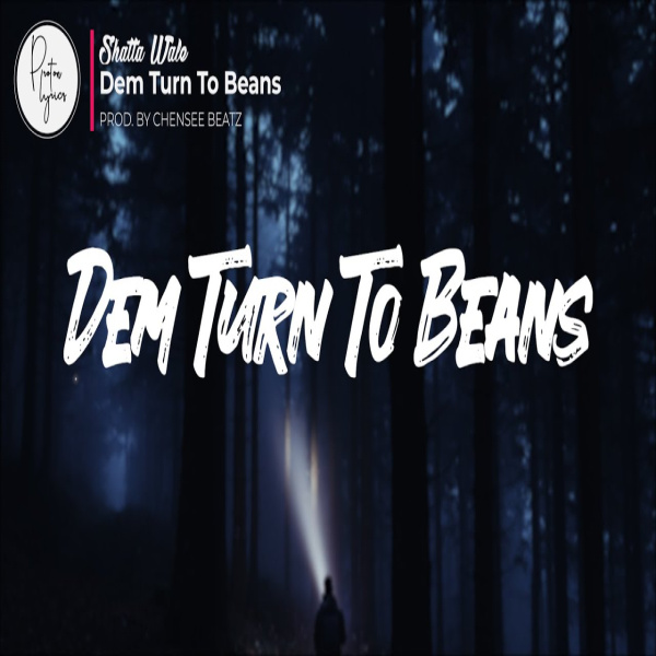 Shatta Wale-Dem Turn To Beans cover art