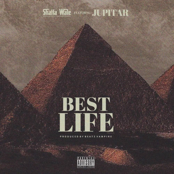 Shatta Wale-Best Life cover art