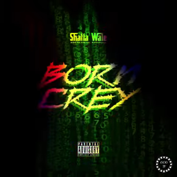 Shatta Wale-Born Crey cover art