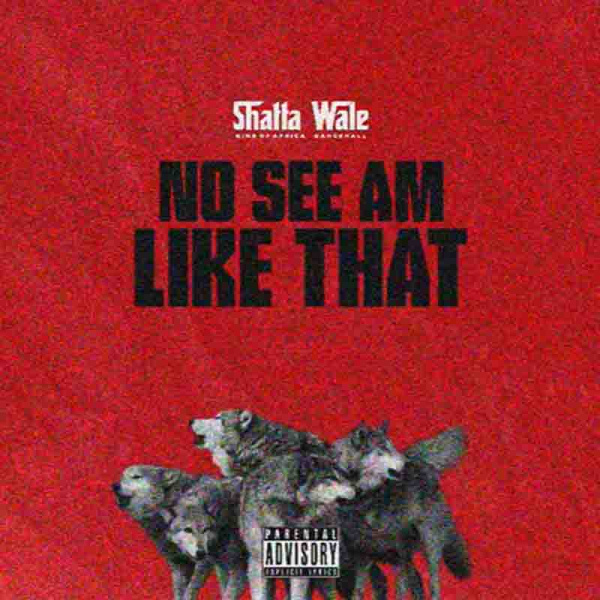 Shatta Wale-No See Am Like That cover art