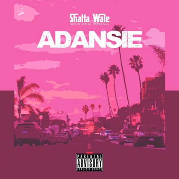 Shatta Wale-Adansie (Testimony) cover art