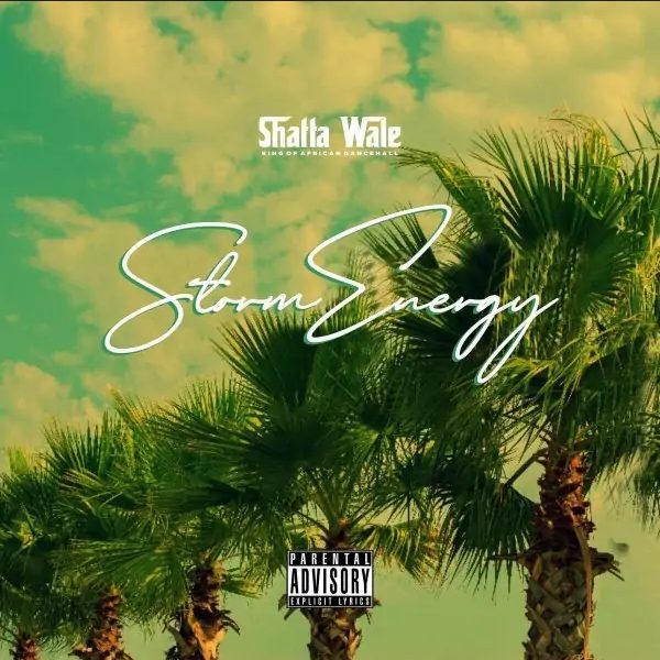 Shatta Wale-Storm Energy cover art