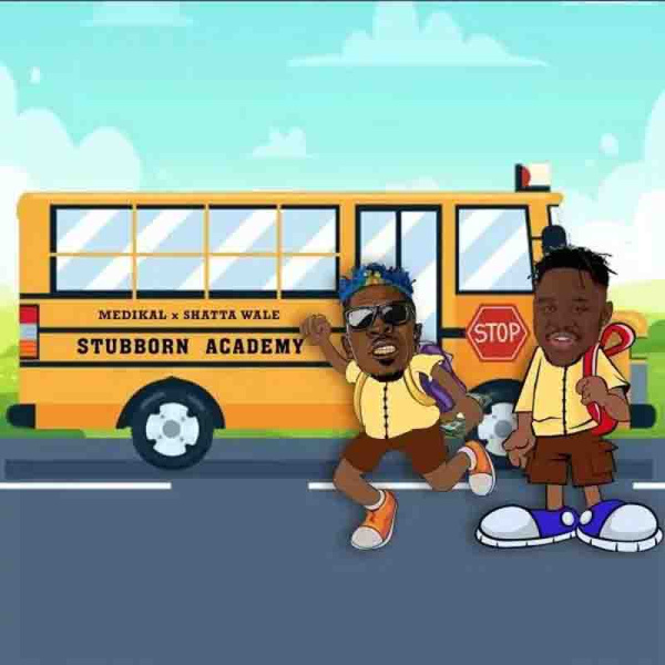 Medikal-Stubborn Academy cover art