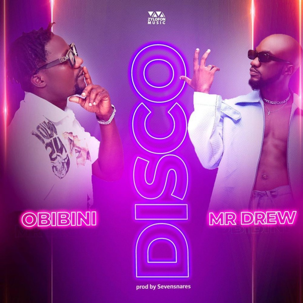 Obibini -Disco cover art