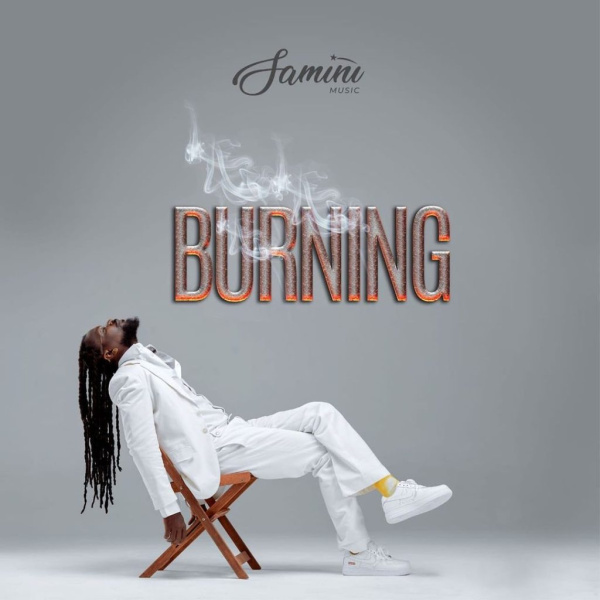 Samini-Paper cover art