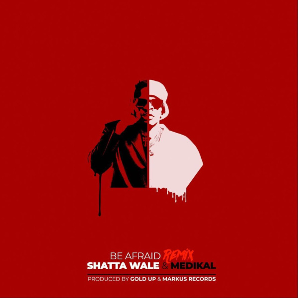 Shatta Wale-Be Afraid (Remix) cover art