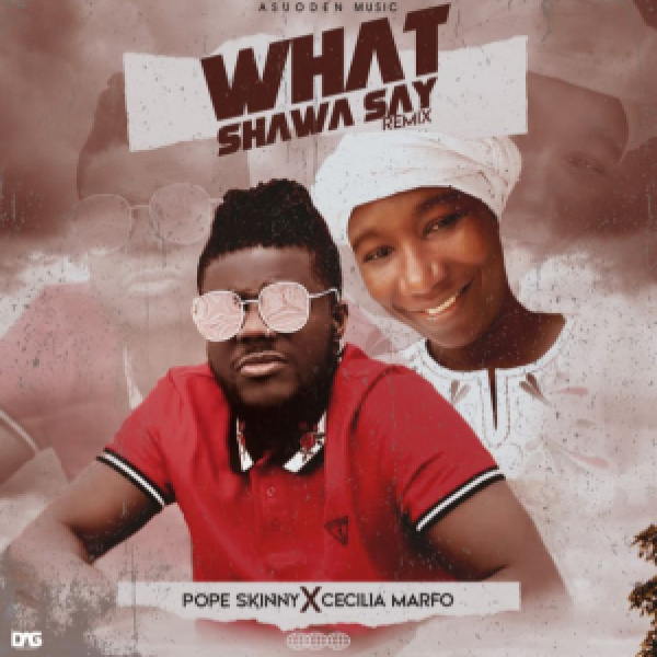 Pope Skinny-What Shawa Say (Cover) cover art