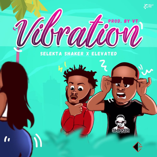 Shaker-Vibration cover art