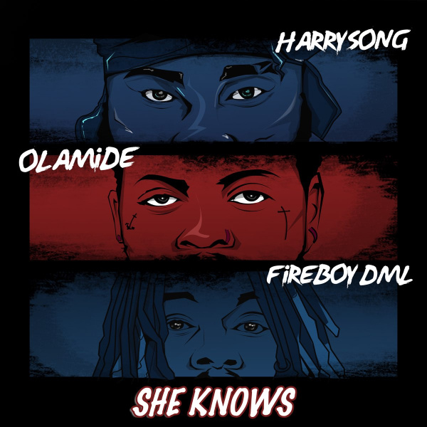 Harrysong-She Knows cover art