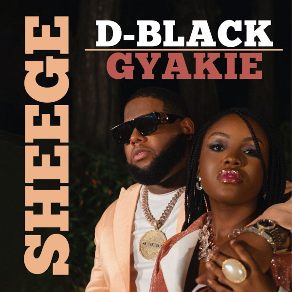 D-Black -Sheege cover art