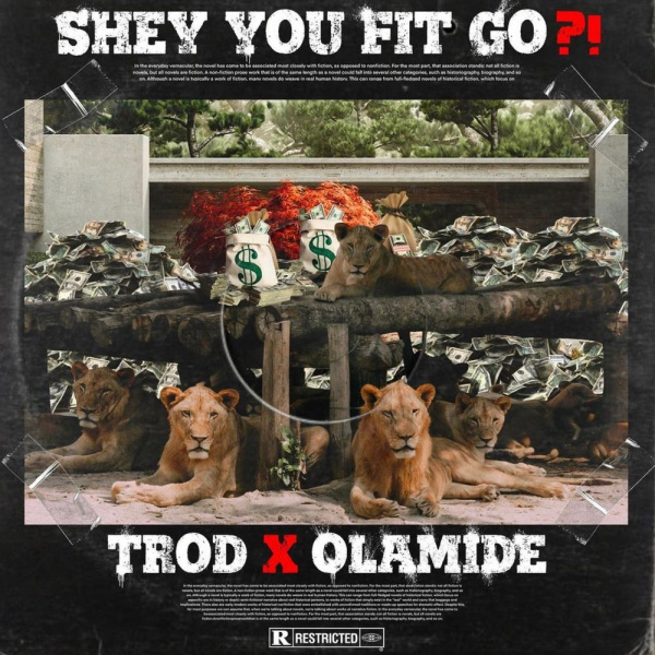 Trod-Shey You Fit Go?! cover art