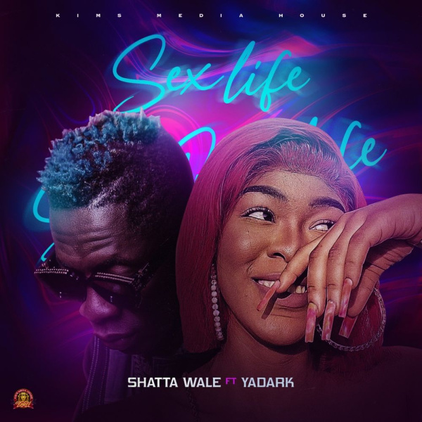 Shatta Wale-Sex Life cover art