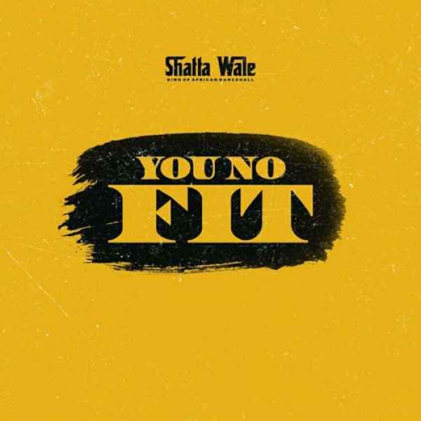 Shatta Wale-You No Fit cover art