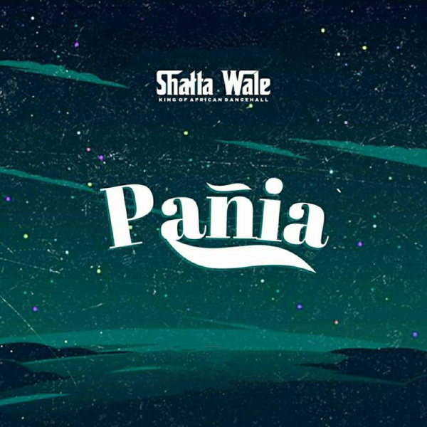 Shatta Wale-Panai cover art