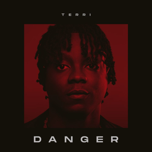 Terri-Danger cover art