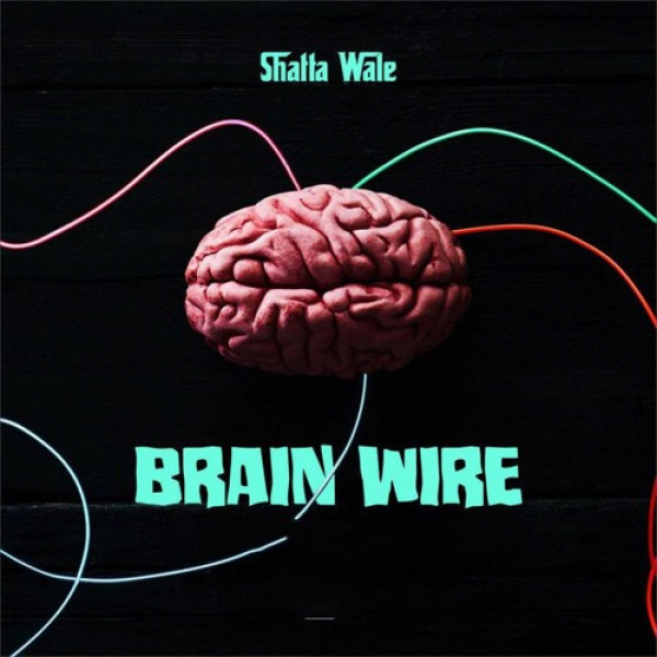 Shatta Wale-Brain Wire Freestyle cover art