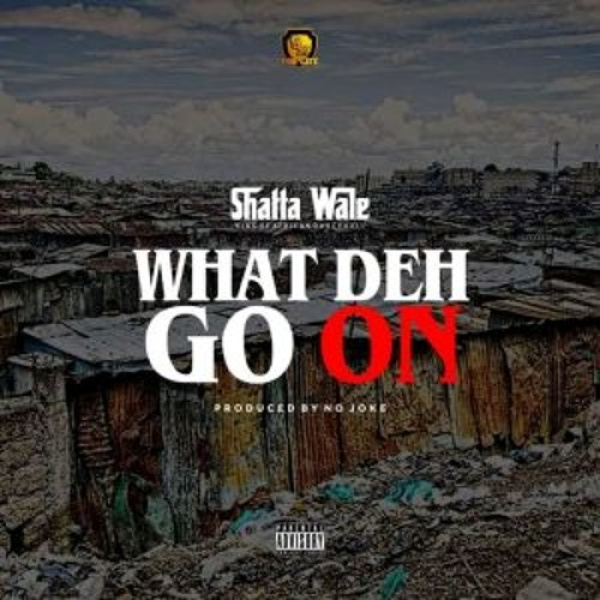 Shatta Wale-What Deh Go On cover art