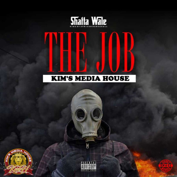 Shatta Wale-The Job cover art