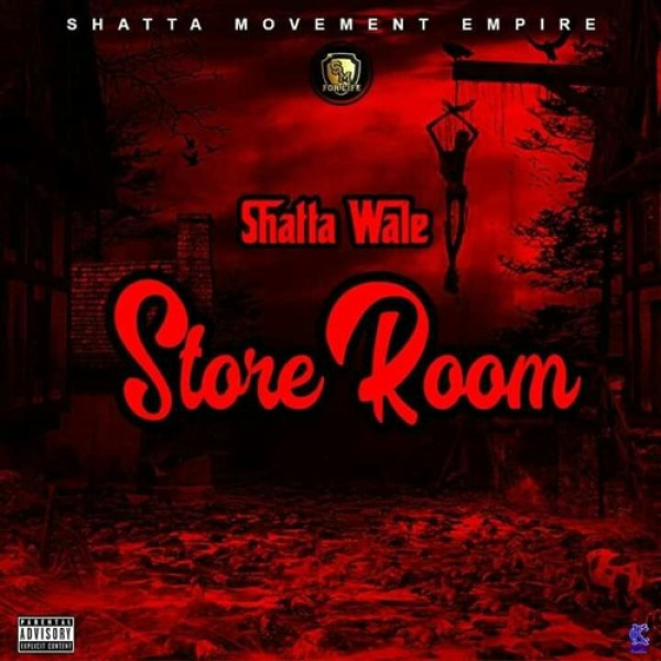 Shatta Wale-Store Room cover art