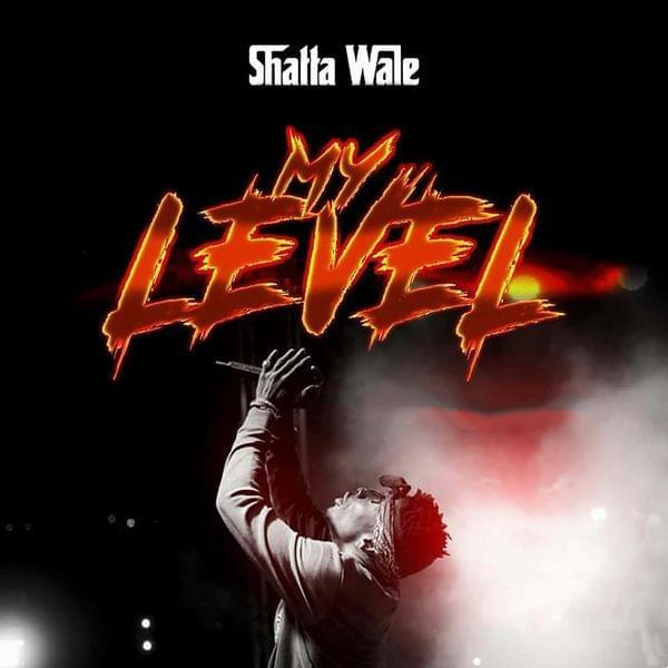 Shatta Wale-My Level cover art