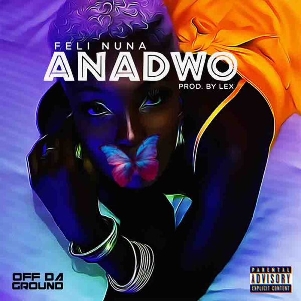 Feli Nuna-Anadwo cover art