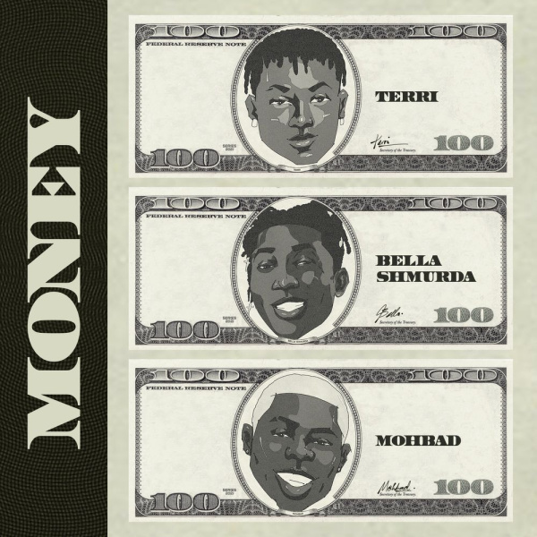 Terri- Money cover art