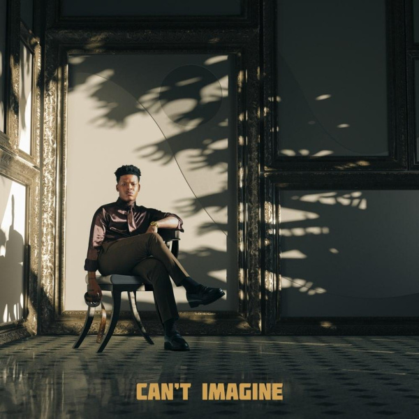 Nasty C-Cant Imagine cover art