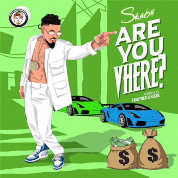 Skiibii-Are You Vhere cover art