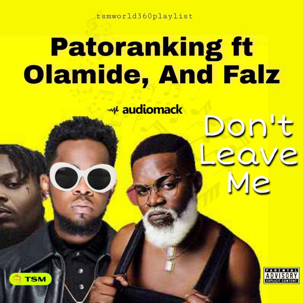 Patoranking-Please Don't Leave Me cover art