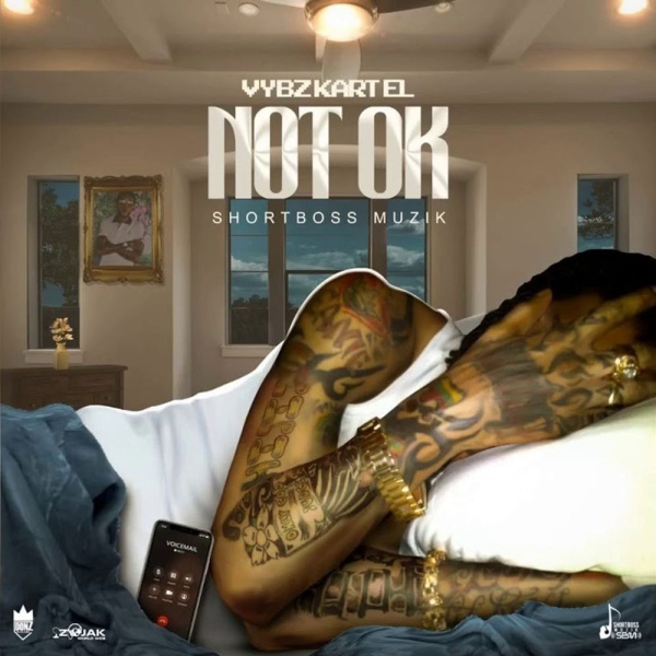 Vybz Kartel-Not Ok cover art