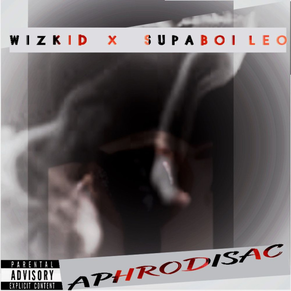 Wizkid-Aphrodisiac cover art