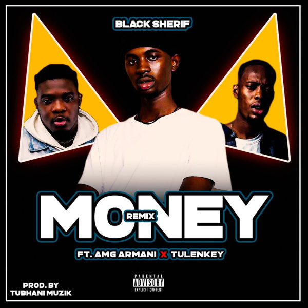 Black Sherif -Money (Remix) cover art