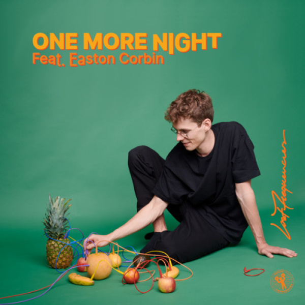 Lost Frequencies-One More Night cover art