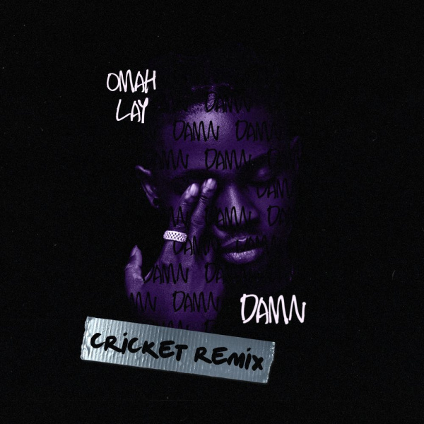 Omah Lay-Damn (Cricket Remix) cover art