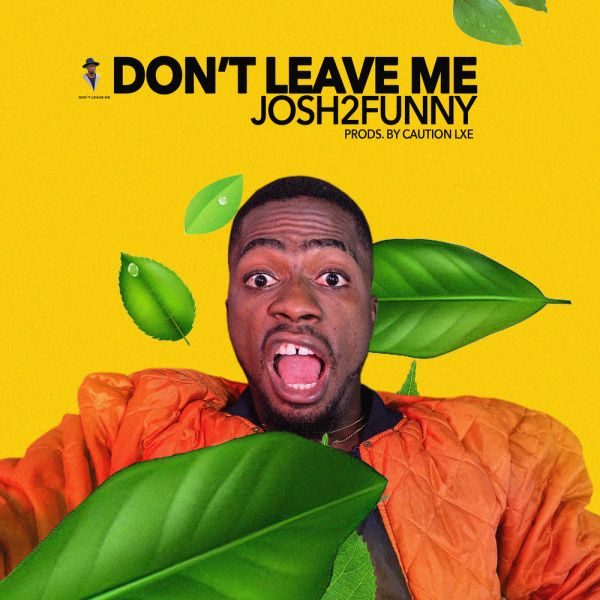 Josh2funny-Don't Leave Me (Remix) cover art