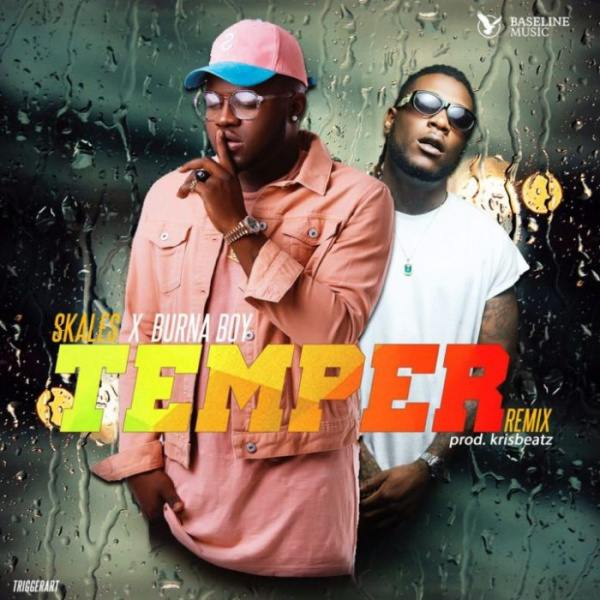 Skales-Temper (Remix) cover art