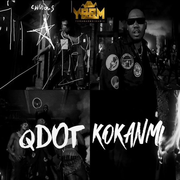 Qdot-Kokanmi cover art