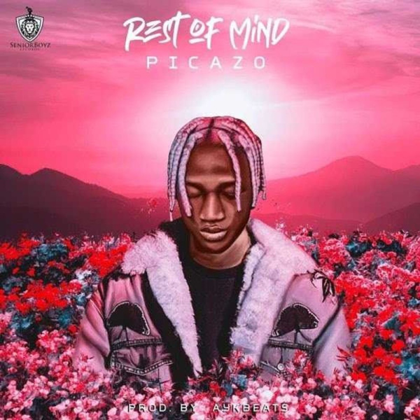 Picazo-Rest Of Mind cover art