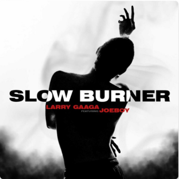 Larry Gaaga-Slow Burner cover art