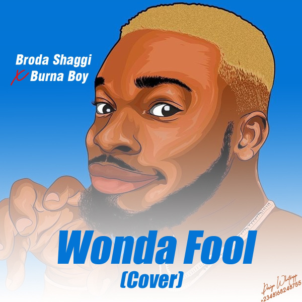 Broda Shaggi-Wonda Fool (Cover) cover art