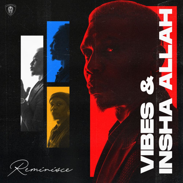 Reminisce-Vibes cover art