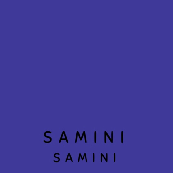 Samini-Violate cover art