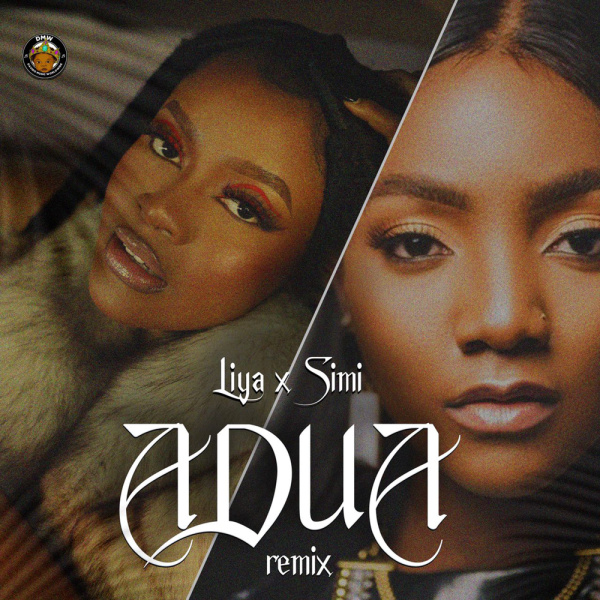 Liya-Adua (Remix) cover art