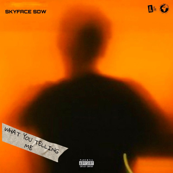 Skyface SDW-What You Telling Me cover art