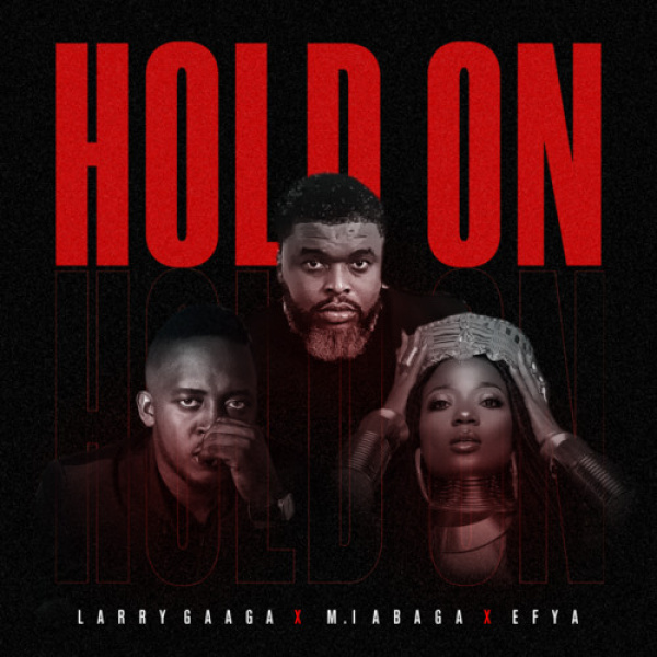 Larry Gaaga-Hold On cover art